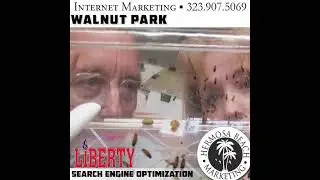 SEO Internet Marketing Walnut Park SEO Internet Marketing