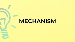 What is the meaning of the word MECHANISM?
