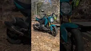 Z125 pro is a all around great bike! #z125 #bike #bikelife