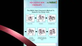 Metrowealth WAKi REXIO 9000 (English)