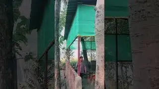 ।। SMALL DAIRY SHED DESIGN ।। Part 5।।GREEN SCREEN K BARE ME ।। #dairyfarm #minivlog #dairyshed