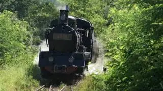 Cu Mocanita la Viseu si Sovata