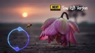 Malaka Thaniya (මලක තනිය) Slow R&B Version/ Lofi Version - New Sinhala Song | Next Level Ambition