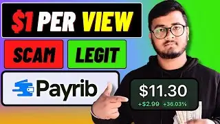 Payrib Review 2025: Real Earnings from Watching Ads? Truth Revealed!🚀