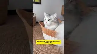 Cat Comfort Nest: The Ultimate Cozy Spot for Your Kitty! 🐾