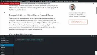 Wordpress Query Monitor Quickview