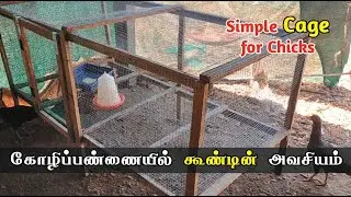 Simple cage for chicks | கோழிக் குஞ்சுகளுக்கு எளிமையான கூண்டு