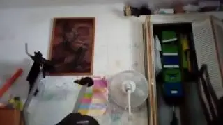 Tarzan killed zegey