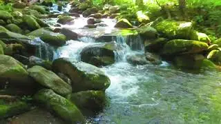 Le Conte Creek; Eastern Tennessee