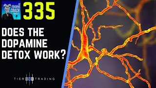 TRADING COACH PODCAST 335 - Does The Dopamine Detox?