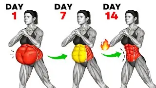 Best Morning Workout for Beginners 🔥 30-Min Routine to Lose Fat Fast in 2 Weeks