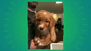 Dewey Update 4-20-18