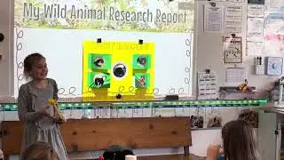 Kaia&rsquo;s 3rd grade honey badger report