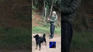 Triste DEYHIAN