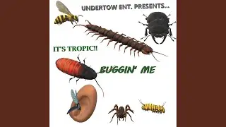 Its Tropic! Buggin Me!