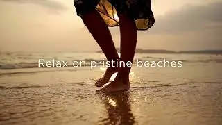 Music Cities & Caribbean Vibes with Norwegian Getaway | Cruise & Stay