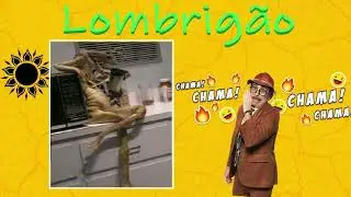 Pegadinha do Mu&ccedil;&atilde;o 🌵 J&uacute;nior LOMBRIG&Atilde;O 😂