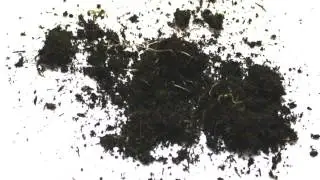 Video by PR STRATEGIES CLASS