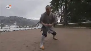 The Shaolin way - Happiness