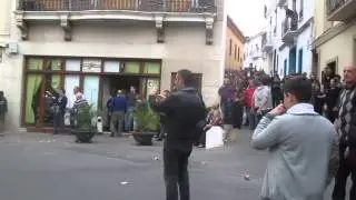 LA RATOTINA 7 - El Puig - VALENCIA 2014
