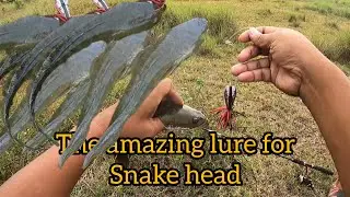 One of dbest lure for  snake head/ jump frog lure 🐸🐸 