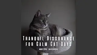 Tranquil White Noise for Cat's Serenity
