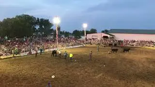 2018 Pine City Rodeo Wild Cow Milking