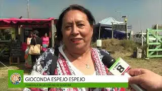 FERIA SABERES,SABORES Y OFICIOS TRADICIONALES - EN SU CUARTA VERSI&Oacute;N - PUERTO SAAVEDRA 2026