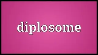 Diplosome Meaning