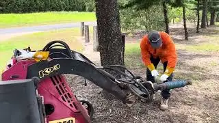 Fencing, wire removal 