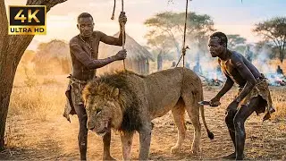 Supervivencia Real en &Aacute;frica: Caza Peligrosa de la Tribu Hadzabe y Encuentro con Le&oacute;n