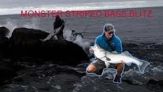 Unbelievable Monster Striped Bass Fishing