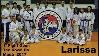 Equipe Fabian Tae Kwon Do - 1&ordm; Fight Open - Mau&aacute; - Larissa