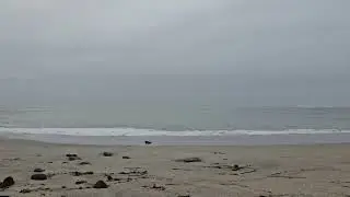 Mavericks is&nbsp;a legendary, world-renowned big-wave surf break off Half Moon Bay, California,