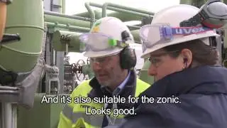 What does the Inspectorate SZW do?