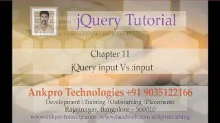 jQuery 11 - Selectors - input Vs :input
