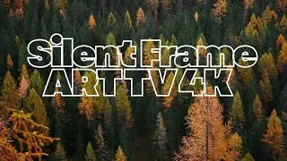 2 Hours of Silent Frame art tv: The Silence of Turning Leaves wallpaper 4K