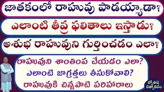 Rahu Negative Results | Rahu Violent Behaviour | Political Career | Financial Status | Social Status