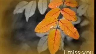 alla minnen - anton och affe lyrics