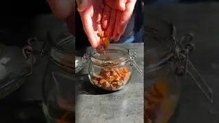 КУРКУМА 🫧 Секрет приготовления пробиотических газированных напитков дома!
