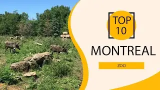 Top 10 Best Zoo to Visit in Montreal | Canada - English