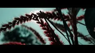 Xiaomi Redmi Note 8 Pro Cinematic Video Footage