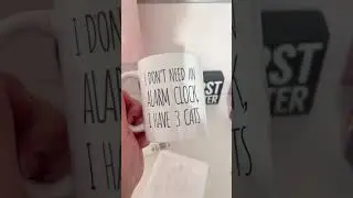 Real Customers Share Their Personalized Cat Mom Mugs 🐾✨