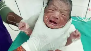 Newborn Baby Crying for Milk 😭 | First Bottle Feed | Soothing a Hungry Baby