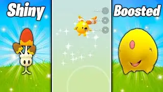 THESE TWO POKEMON ARE NOW SHINY BOOSTED IN POKEMON GO! RARE Shiny Baby Pokemon / Serene Retreat