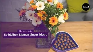 3 Hacks, welche Blumen frisch halten!
