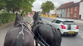 A Break Between Initial Training and Full Training - The Best Way to Do it for the Horse?