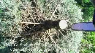 Oparbejdning af juletræer