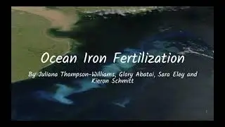Ocean Iron Fertilization (SGC 