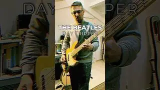 The Beatles - Day Tripper| BASS COVER #sirebass #thebeatles #daytripper
